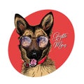 Portrait of hipster german shepherd wearing a glasses and tie bow. Vector engraved detailed dog illustration. Hand drawn Royalty Free Stock Photo