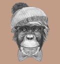 Portrait of Hipster Monkey with glasses, bow tie and hat. Hand-drawn illustration. Royalty Free Stock Photo