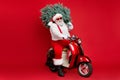 Portrait of his he nice bearded cheerful fat big belly Santa sitting on moped carrying fir tree dream winter fairy ho-ho Royalty Free Stock Photo