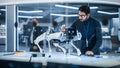 Portrait of Hispanic Engineer Using a Screwdriver While Building and Developing a Robot Dog Concept Royalty Free Stock Photo