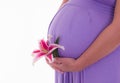 Portrait of Hispanic pregnant woman isolated over Royalty Free Stock Photo