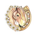 Portrait of a horse on the background of a horseshoe decorated with daisies. beautiful mare. Watercolor handmade