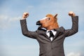 Portrait of Horse Businessman Royalty Free Stock Photo