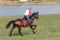 Portrait of Horse gallop during eventing competition