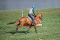 Portrait of Horse galloping during horse eventing competition