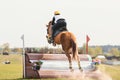 Portrait of horse jumping during eventing competition