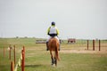 Horse and rider going to start eventing competition