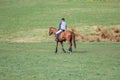 Portrait of horse and rider losing eventing competition