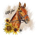 Portrait of a horse and sunflowers vector illustration isolated Royalty Free Stock Photo