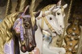 Portrait of the horses of a merry-go-round Royalty Free Stock Photo