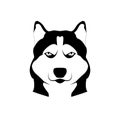 Portrait of a husky. Black and white dog head. Illustration of a pet. Muzzle of a Siberian husky dog. Vector illustration Royalty Free Stock Photo