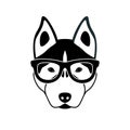 Portrait of husky dog with glasses, black and white flat style. Royalty Free Stock Photo
