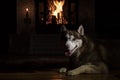 Portrait husky dog in night room by the burning fireplace and candles. Gloom lit by reflections from burning logs. Royalty Free Stock Photo