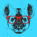 Portrait of Hyena with glasses.