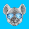 Portrait of Hyena with mirror sunglasses.