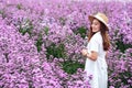 A beautiful young asian woman in Margaret flower field Royalty Free Stock Photo