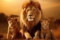 Portrait image of the Lions family. Lionesses and two little lion cubs look at the camera