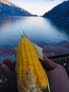 Image of maize in my hand