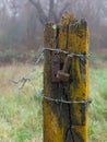 Portrait image of old weathered gate post in a field with copyspace