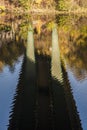 Coronation Bridge Reflection Royalty Free Stock Photo