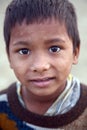 Portrait of Indian boy Royalty Free Stock Photo