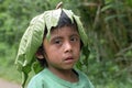 Portrait Indian boy with tree leaf on his head Royalty Free Stock Photo