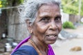 Portrait of an Indian old senior poor woman with saree Royalty Free Stock Photo