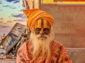 Portrait of an Indian sadhu. Royalty Free Stock Photo