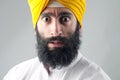 Portrait of Indian sikh man with bushy beard Royalty Free Stock Photo