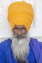 Portrait of Indian sikh man in orange turban with bushy beard. Amritsar, India. Closeup