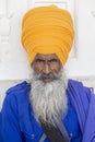Portrait of Indian sikh man in orange turban with bushy beard. Amritsar, India. Closeup Royalty Free Stock Photo
