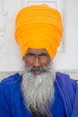 Portrait indian sikh man in turban with bushy beard. Amritsar, India