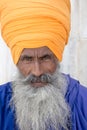 Portrait of Indian sikh man in turban with bushy beard