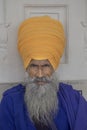 Portrait of Indian sikh man in turban with bushy beard