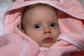 Portrait of Infant baby girl under the pink towel roll looking at camera lying on bed after bath. 3 months old baby girl Royalty Free Stock Photo