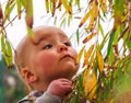 Portrait of a inquisitive little girl