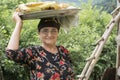 Portrait of an iranian woman holding baked bread tray on her head in traditional way Royalty Free Stock Photo