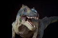Portrait of an allosaur on black background Royalty Free Stock Photo