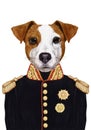 Portrait Jack Russell of in military uniform.