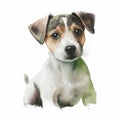 Portrait of a Jack Russell Terrier. Watercolor illustration.