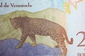 Portrait of Jaguar (Panthera onca ) on Venezuela 20 Bolivar currency banknote Royalty Free Stock Photo
