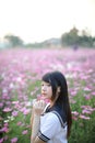 Portrait of Japanese school girl uniform with pink cosmos flower Royalty Free Stock Photo