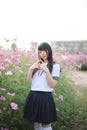 Portrait of Japanese school girl uniform with pink cosmos flower Royalty Free Stock Photo