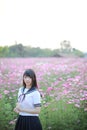 Portrait of Japanese school girl uniform with pink cosmos flower Royalty Free Stock Photo