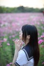 Portrait of Japanese school girl uniform with pink cosmos flower Royalty Free Stock Photo