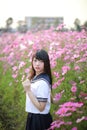 Portrait of Japanese school girl uniform with pink cosmos flower Royalty Free Stock Photo