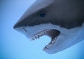A Portrait of the Jaws of a Great White Shark