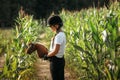 Portrait of a jockey girl in a helmet and a white t-shirt, who sits on a brown toy horse in a corn field Royalty Free Stock Photo