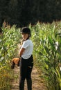 Portrait of a jockey girl in a helmet and a white t-shirt, who sits on a brown toy horse in a corn field Royalty Free Stock Photo