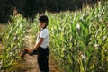 Portrait of a jockey girl in a helmet and a white t-shirt, who sits on a brown toy horse in a corn field Royalty Free Stock Photo